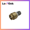Brass Foot Valve (Accessories)